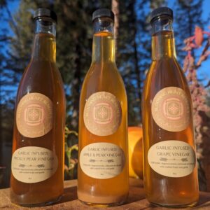 Garlic infused Fruit Vinegars