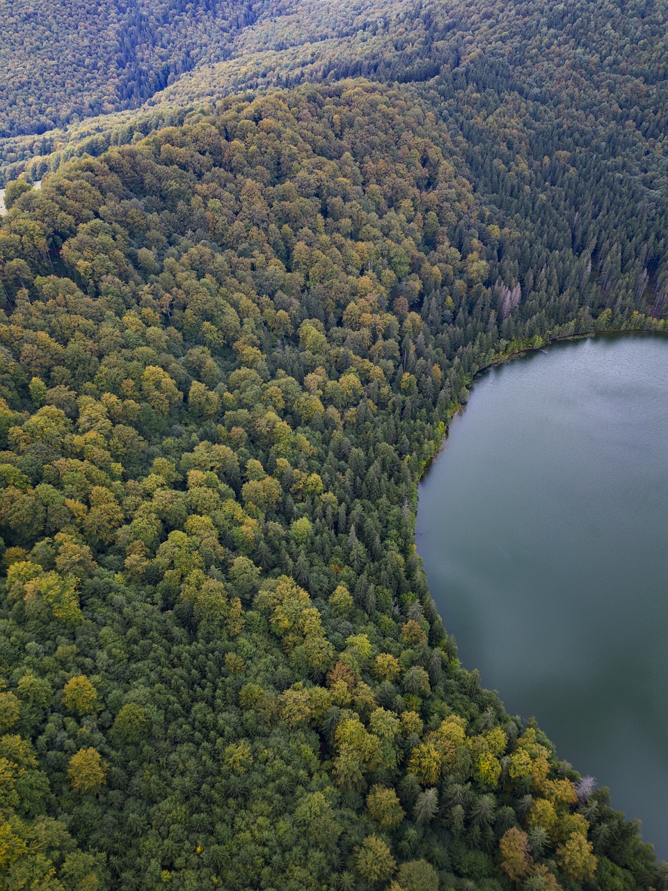 lake, mountains, romania-7457401.jpg