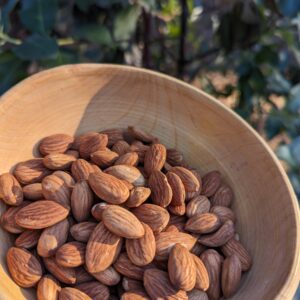 Raw Sprouted Almonds